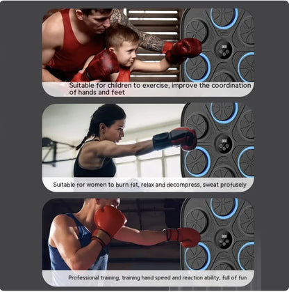 Music Boxing Target Wall Trainer